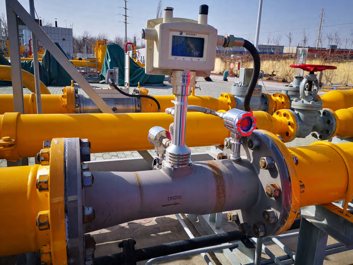 Success Story — City Gas / Utilities | Xinjiang Gas Group | Pressure Regulation Station