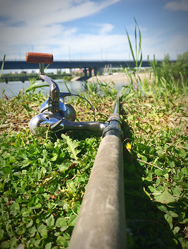 Agricultural Industry